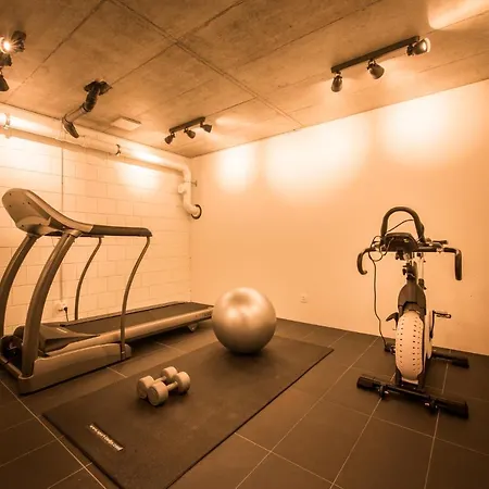 Independance Penthouse إنترلاكن