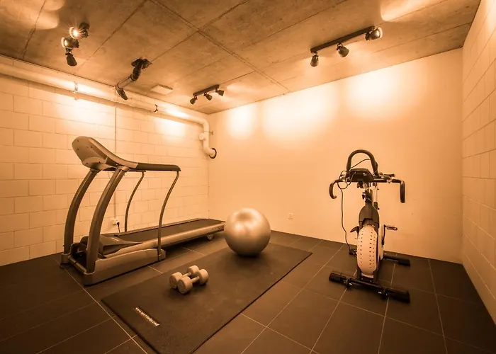 Independance Penthouse Интерлакен